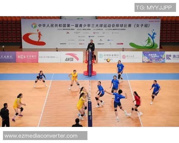 重庆排球队的奥运梦想与拼搏历程全景回顾